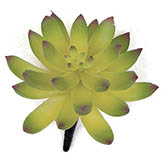 4 inch Artificial Purple/Green Agave Plant