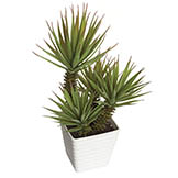 14 inch Artificial Yucca Plant in White Plastic Pot