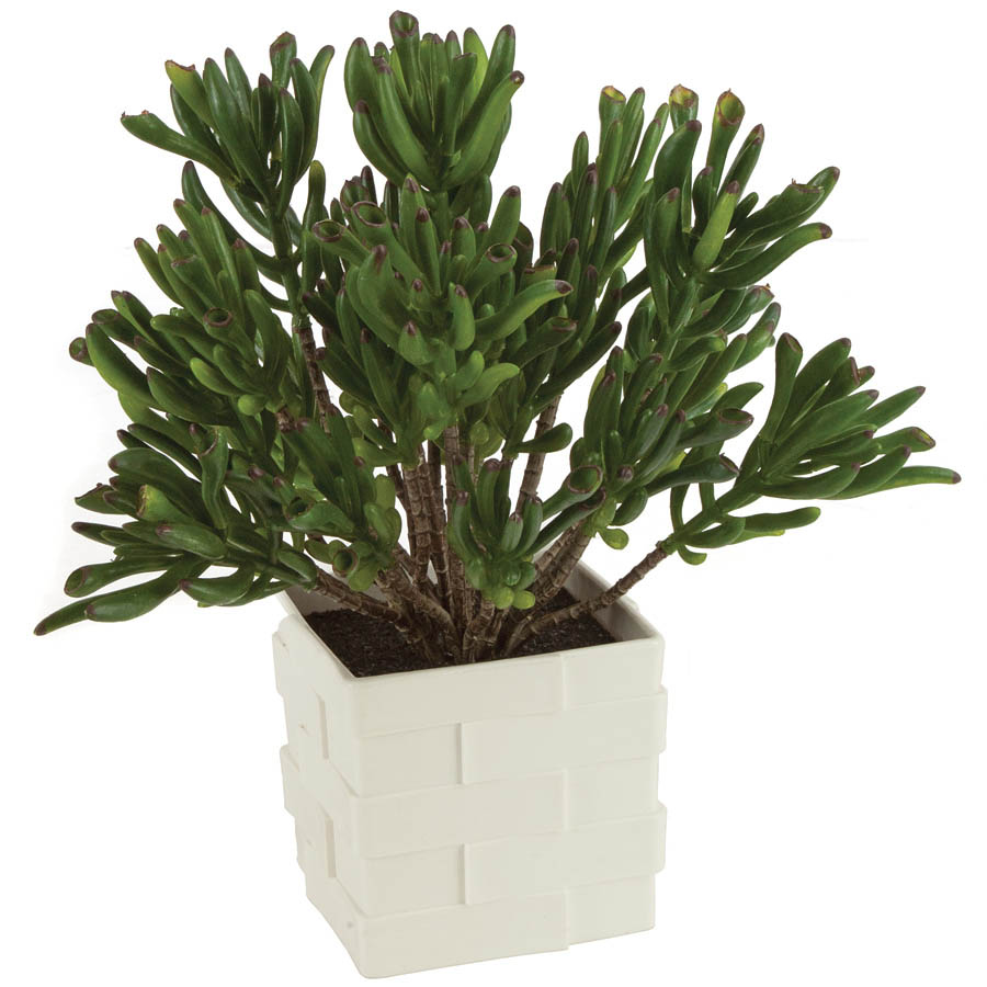 11.5 Inch Artificial Coral Plant In Ceramic Pot