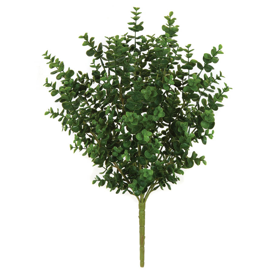 21 inch Green Outdoor Eucalyptus Bush: Unpotted