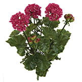 17 inch Artificial Outdoor Wine/Red Geranium Bush: Unpotted