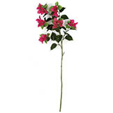 45 inch Outdoor Beauty Bougainvillea Stem (Set of 6)
