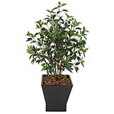 48 inch Outdoor Artificial Ficus Bush