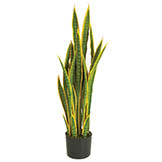 40 inch Plastic Variegated Sansevieria Plant: Potted