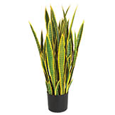 39 inch Plastic Variegated Sansevieria Plant: Potted