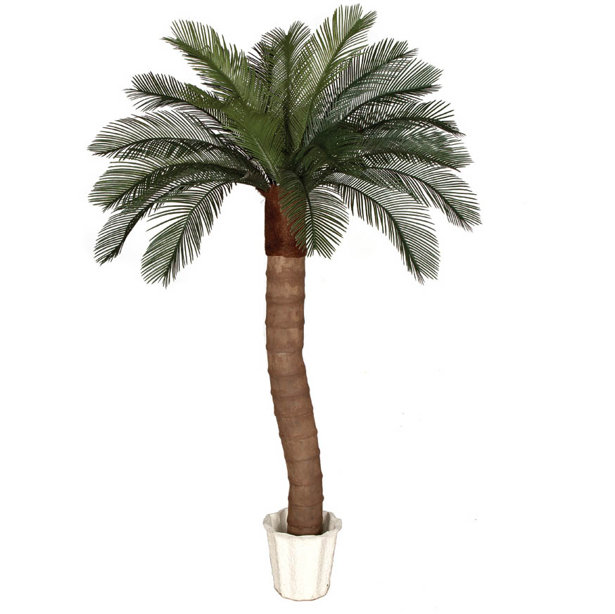 6 foot Artificial Outdoor Cycas Palm Tree: Ribbed Synthetic Trunk & 24 Fronds