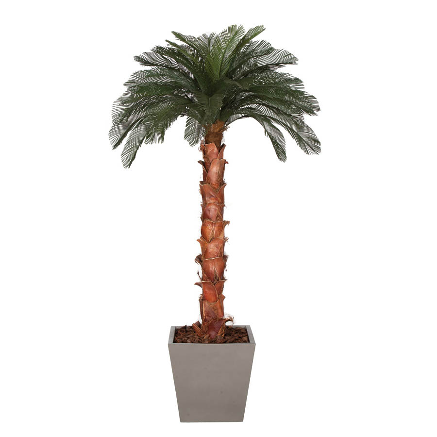 9 foot Artificial Outdoor Cycas Palm Tree: Natural Trunk & 36 Fronds
