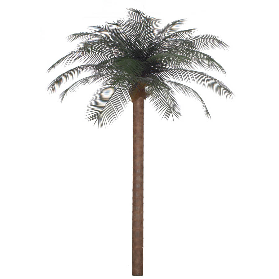 12 Foot Artificial Outdoor Phoenix Palm With 24 Fronds