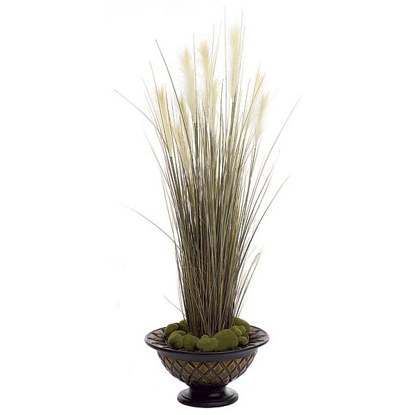 58 inch Plume Grass: Potted - CLOSEOUT FINAL SALE