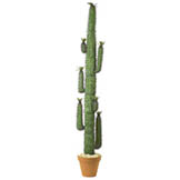 8 foot Artificial Saguaro Cactus: Unpotted