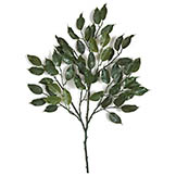 27.5 inch Outdoor Artificial Ficus Branch (Set of 12) - CLOSEOUT FINAL SALE