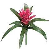 14 inch Outdoor Artificial Fuchsia Bromeliad: Unpotted