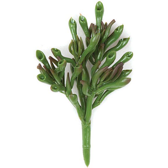 7 inch Fire Retardant Hatiora Plant