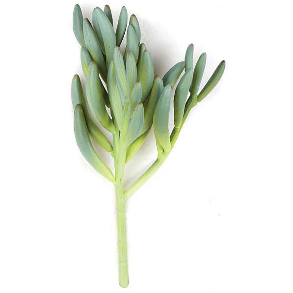11 inch Fire Retardant Succulent