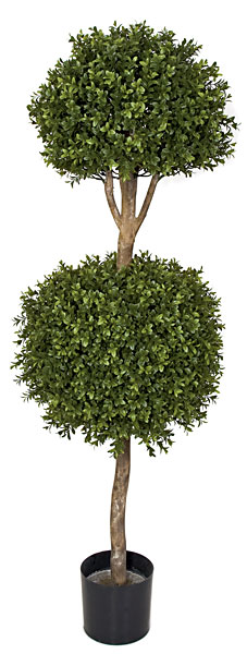 4 Foot Outdoor Boxwood Double Ball Topiary: Potted