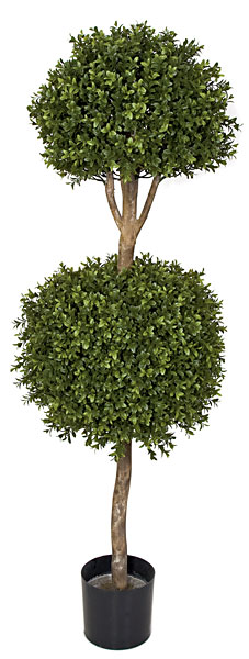 4 foot Outdoor Boxwood Double Ball Topiary: Potted
