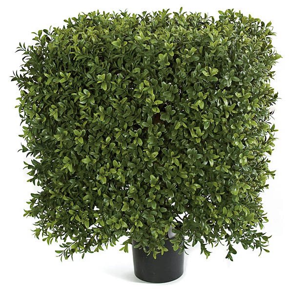 16W x 21H inch Plastic Boxwood Square Topiary: Limited UV