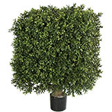 18W x 25H inch Outdoor Plastic Boxwood Square Topiary: Limited UV