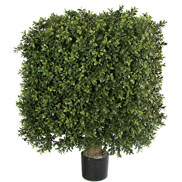 18w X 25h Inch Outdoor Plastic Boxwood Square Topiary: Limited Uv