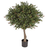 33H x 24W inch Outdoor Wintergreen Boxwood Topiary w/ Limited UV: Potted