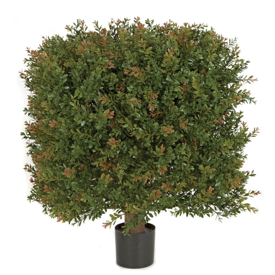 18W x 24H inch Outdoor Wintergreen Boxwood Square Topiary: Limited UV - AGF1585 - Our Brands 18W x 24H inch Outdoor UV Protected Wintergreen Bo sku AGF1585