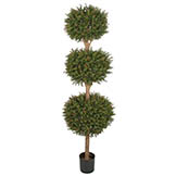 6.5 foot Outdoor Wintergreen Boxwood Triple Ball Topiary: : Limited UV