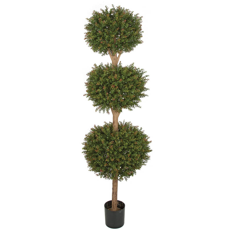6.5 foot Outdoor Wintergreen Boxwood Triple Ball Topiary: : Limited UV - AGF1594 - Our Brands 6.5 foot Outdoor UV Protected Wintergreen Boxwood  sku AGF1594
