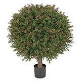 24H x 20W inch Outdoor Wintergreen Boxwood Ball: : Limited UV