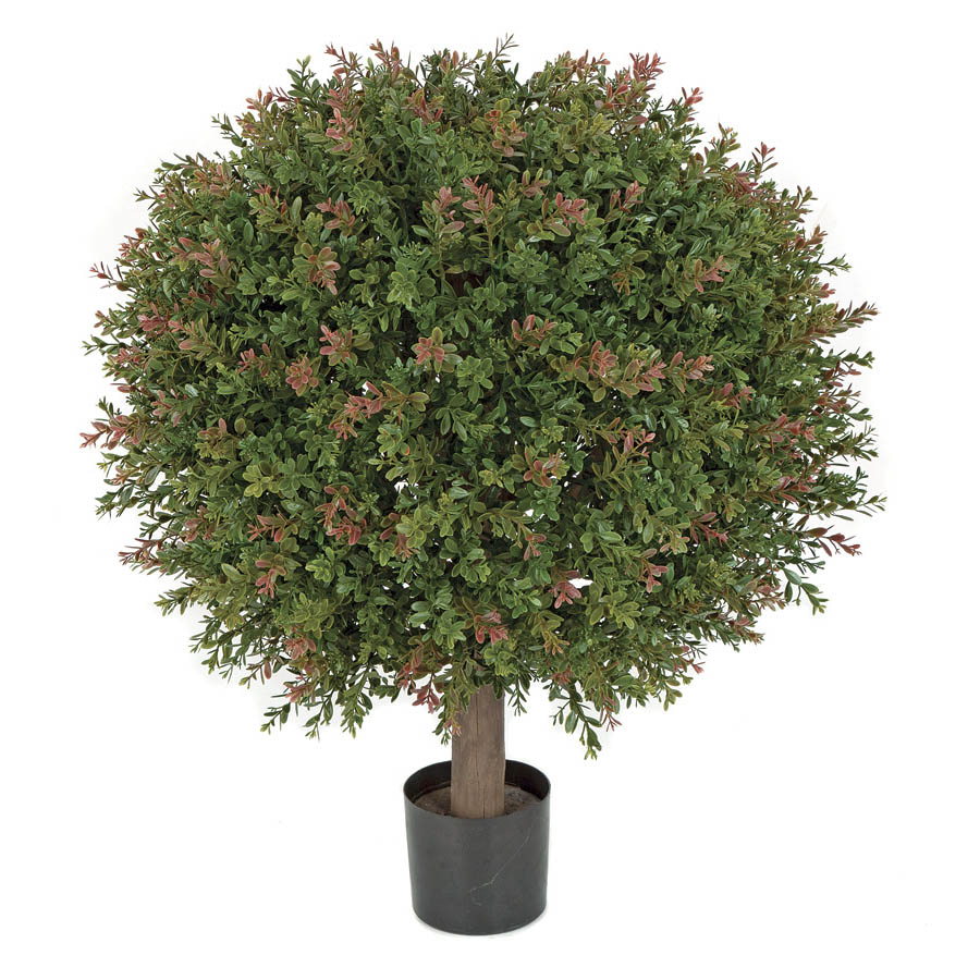 24H x 20W inch Outdoor Wintergreen Boxwood Ball: : Limited UV