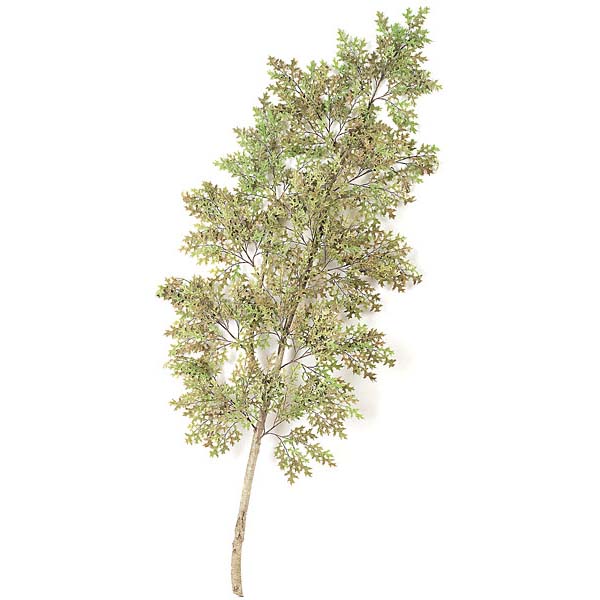 8 foot Fire Retardant Pin Oak Branch with Natural Trunk