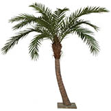 9.5 foot Curved Phoenix Palm Tree with Synthetic Trunk