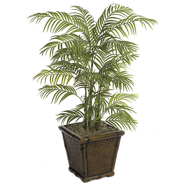 4 Foot Areca Palm With Synthetic Trunks: Potted