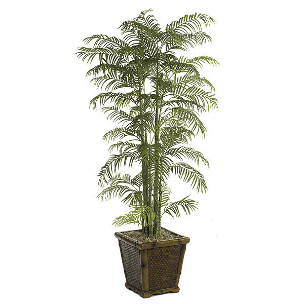 7 foot Areca Palm with Synthetic Trunks: Potted