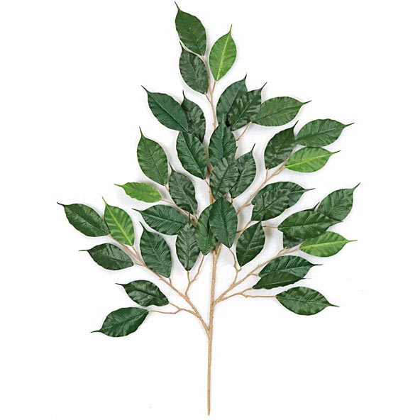 28 Inch Fire Retardant Ficus Branch (set Of 12)