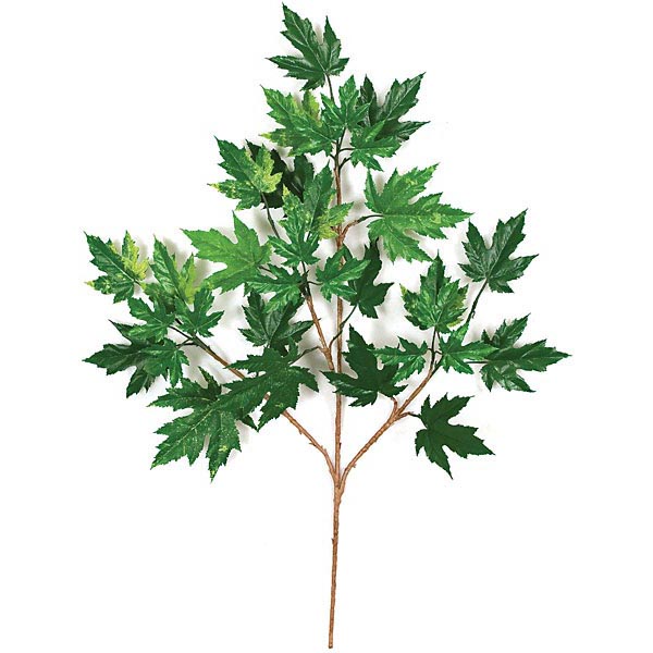 28 inch Green Fire Retardant Rock Maple Branch (Set of 12) - AGF6180 - Christmas Trees The multi-toned green leaves add life-like details sku AGF6180