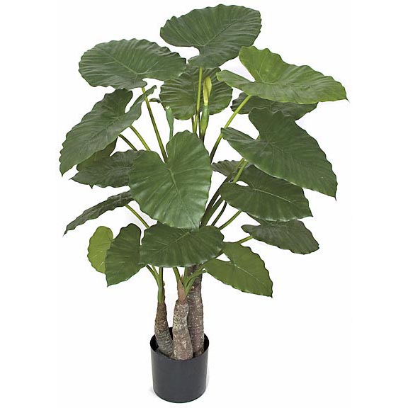 48 inch Fire Retardant Alocasia Calidora Plant: Potted