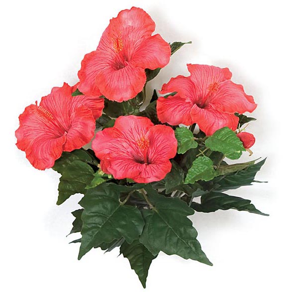 15 Inch Pink Fire Retardant Hibiscus Bush