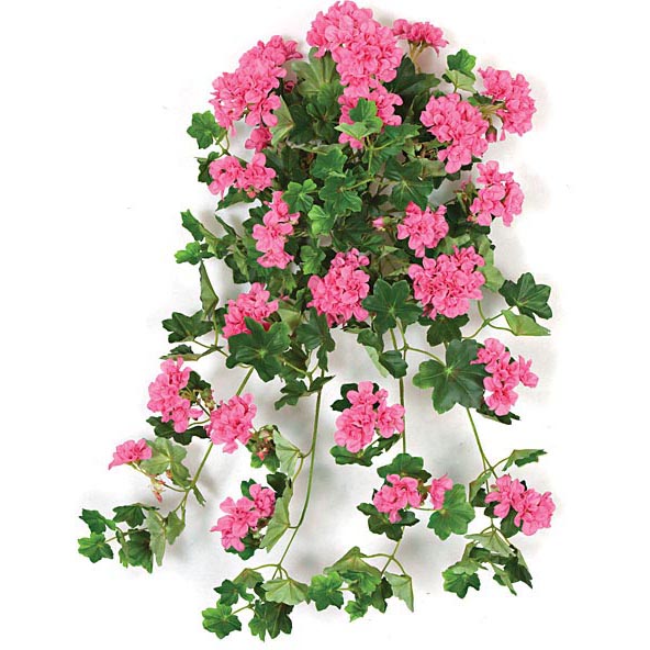 28 inch Pink Fire Retardant Ivy Geranium Bush