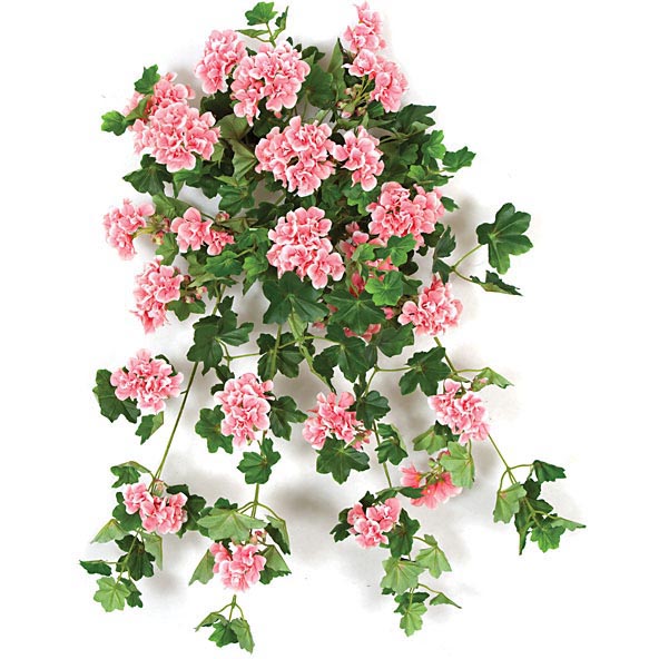 28 inch Pink Fire Retardant Ivy Geranium Bush