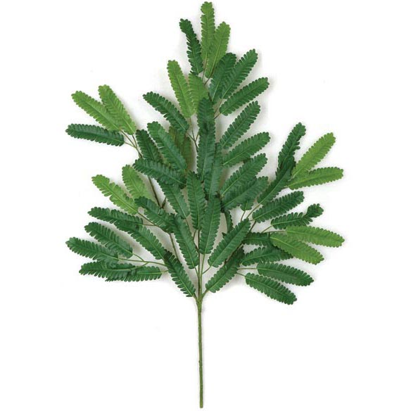 27 inch Fire Retardant Mimosa Branch (Set of 24)