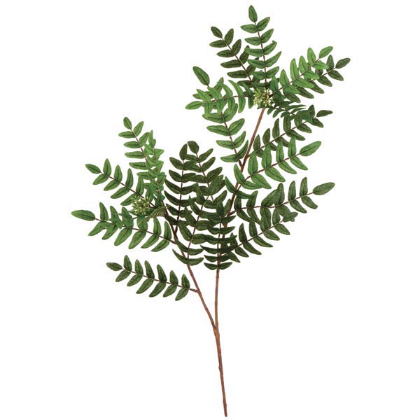 27 inch Fire Retardant Acacia Branch (Set of 12) - AGF6221 - Christmas Trees The details, colors and fire resistant quality of  sku AGF6221