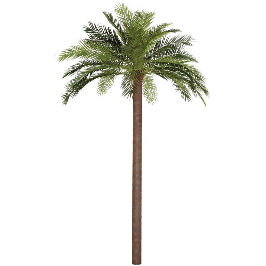 15 foot Fire Retardant Phoenix Palm