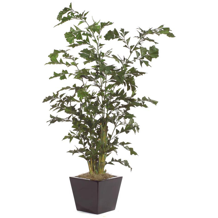 8 foot Fire Retardant Fishtail Palm Tree with Natural Trunks: Potted