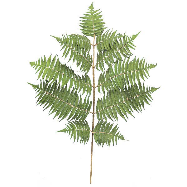 26 Inch Fire Retardant Hawaiian Fern Branch (set Of 12)