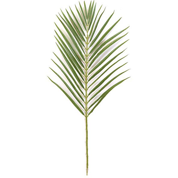35 inch Thin Areca Palm Branch (Set of 12)