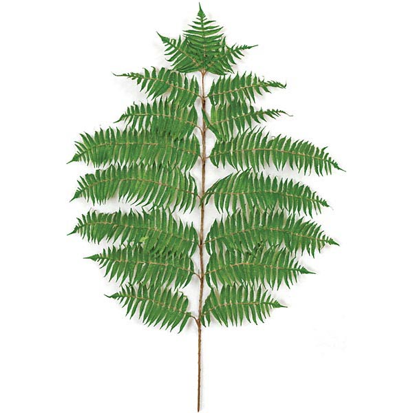 36 Inch Fire Retardant Hawaiian Fern Branch(set Of 3)