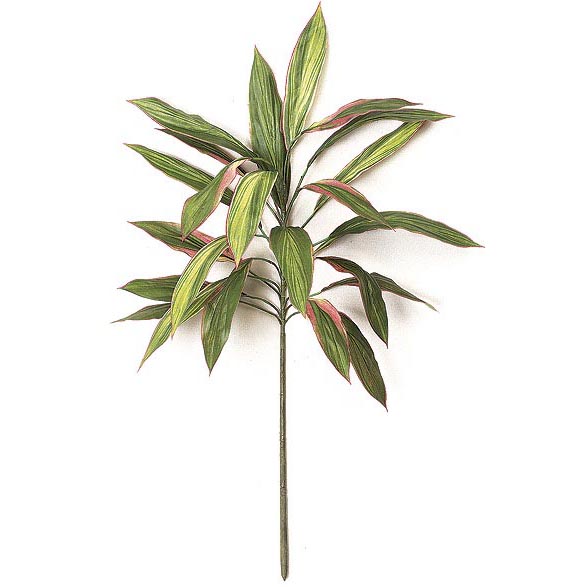 34 inch Fire Retardant Cordyline Branch (Set of 12)