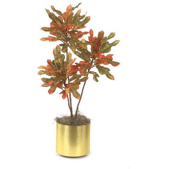 3.5 Foot Fire Retardant Croton Bush: Potted (set Of 2)