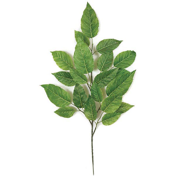 29 inch Fire Retardant Alder Branch (Set of 12)
