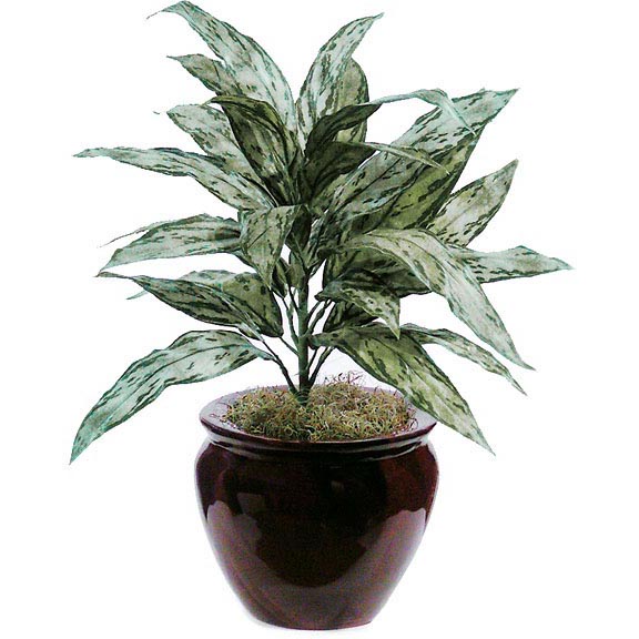 27 inch Fire Retardant Aglaonema Bush (Set of 4)
